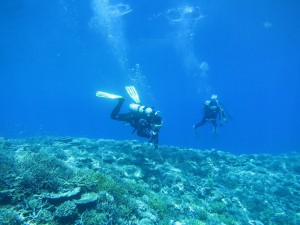 IMG_4016