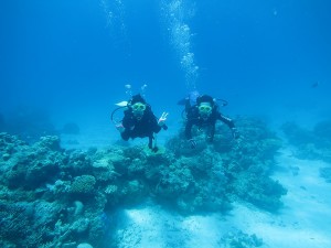 IMG_4247