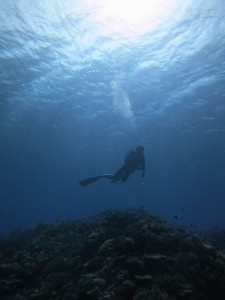 IMG_4553