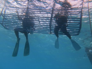 IMG_4567
