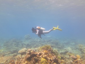 IMG_4570