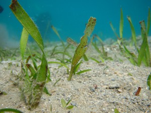 IMG_4764