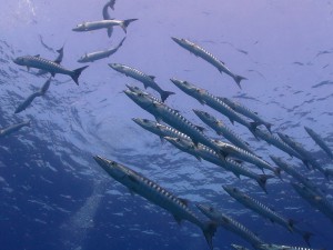 IMG_5512