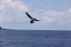 IMG_8651