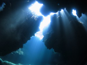 IMG_8787