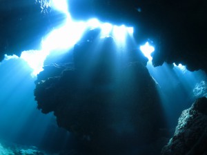 IMG_8788