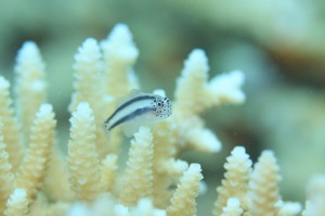 IMG_8906