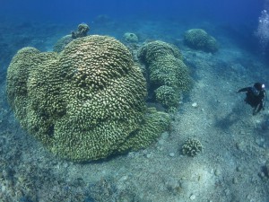 IMG_8911