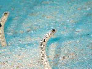 IMG_9190