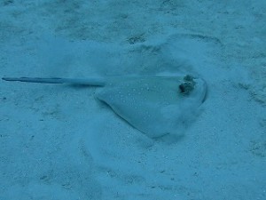 IMG_9435