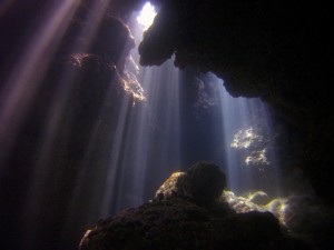 s-AMBA0650