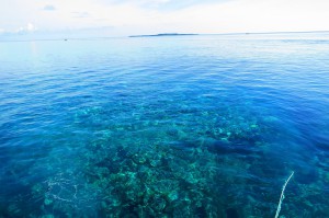 s-IMG_3250