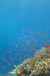 s-IMG_3269
