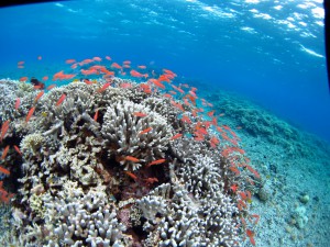 s-IMG_5108