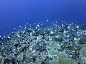 s-IMG_8179
