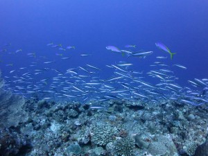 s-IMG_8182