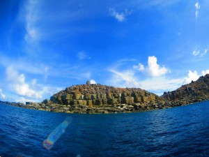 s-IMG_8682