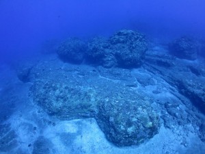 s-IMG_8687