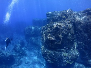 s-IMG_8713
