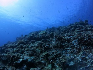 s-IMG_8985