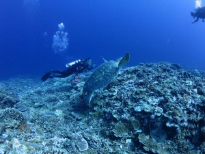 s-IMG_8988