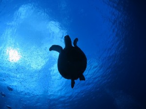 s-IMG_8990