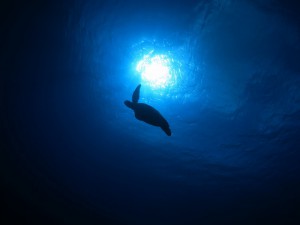 s-IMG_8992