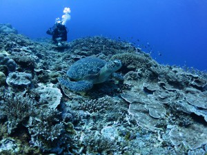 s-IMG_8993