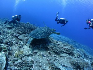 s-IMG_8994