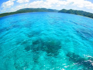 s-IMG_9002