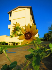 s-IMG_9039