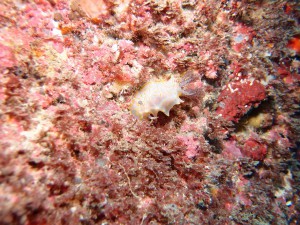s-P9060332