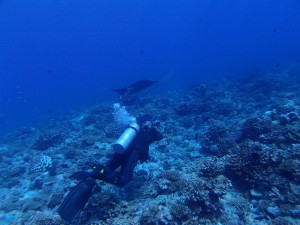 s-P9060420