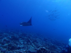 s-P9060421