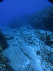 sIMG_8019