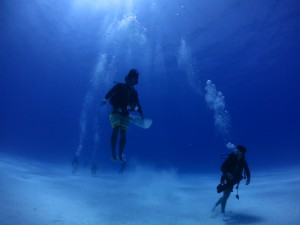 sIMG_8771