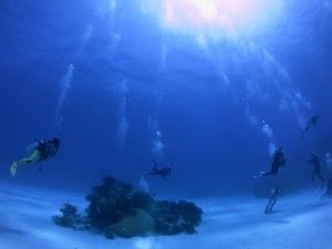 sIMG_8777