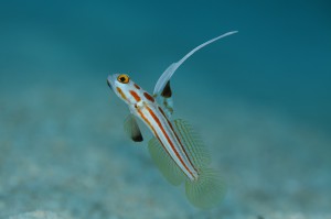 IMG_1796