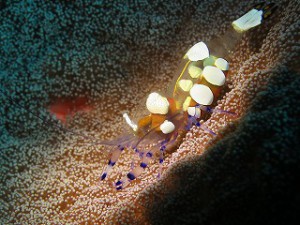 IMG_3369
