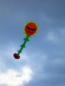 IMG_4050