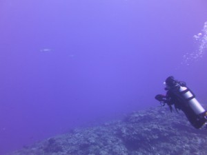 IMG_4052
