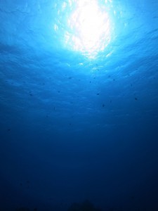 IMG_4055