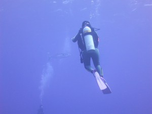 IMG_4060