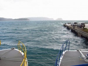 IMG_5295