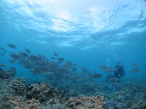IMG_5415