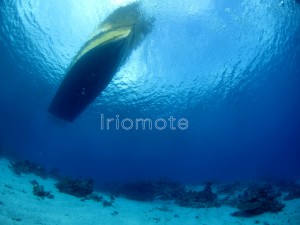 IMG_5481