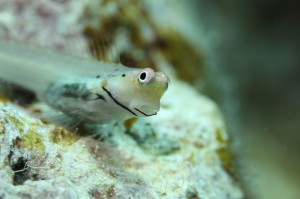 IMG_5578
