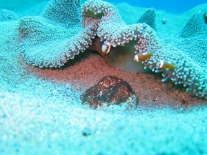 IMG_5671
