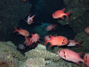 IMG_5704
