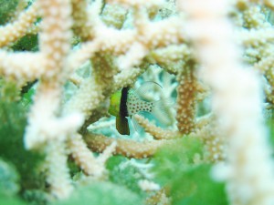 IMG_5976